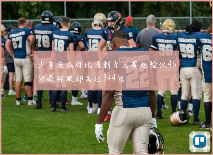 少年老成对比马刺季后赛经验仅46场森林狼却高达344场