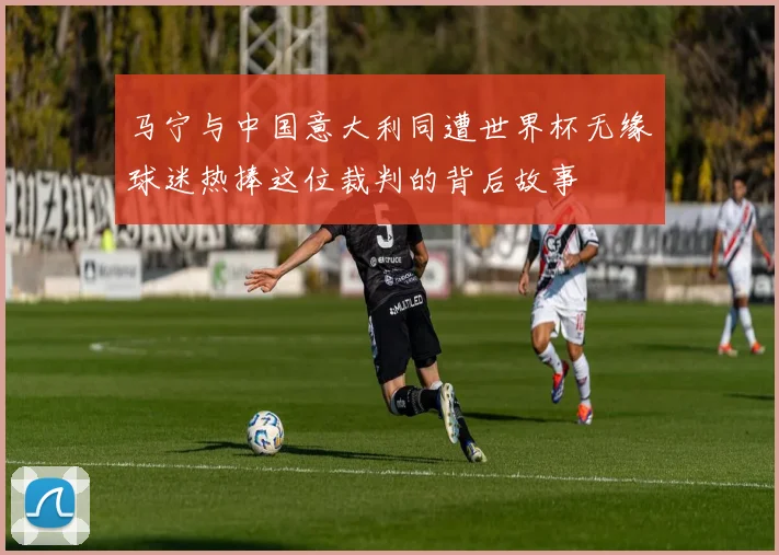马宁与中国意大利同遭世界杯无缘球迷热捧这位裁判的背后故事