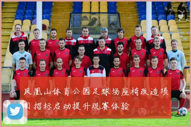 凤凰山体育公园足球场座椅改造项目招标启动提升观赛体验
